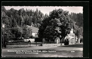 Ansichtskarte Waldbach, Strassenpartie mit Gasthof Matschinegg