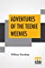Seller image for Adventures Of The Teenie Weenies [Soft Cover ] for sale by booksXpress