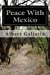 Imagen del vendedor de Peace With Mexico [Soft Cover ] a la venta por booksXpress