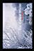 Bild des Verkufers fr The Coldest Winter [Soft Cover ] zum Verkauf von booksXpress