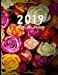 Bild des Verkufers fr 2019 Weekly Planner: Daily Schedule, Goals, Appointments and To Do Section; Lined Pages for Notes and Lists (Floral 8.5x11) [Soft Cover ] zum Verkauf von booksXpress