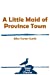 Seller image for A Little Maid of Province Town (Cape Cod Classics) [Soft Cover ] for sale by booksXpress