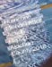 Image du vendeur pour Hurricane Michael After Action Report: Alachua County 2018 [Soft Cover ] mis en vente par booksXpress