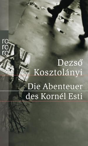 Imagen del vendedor de Die Abenteuer des Kornl Esti: Roman a la venta por Versandantiquariat Felix Mcke