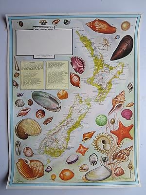 U.B.D. Pictorial Map: New Zealand Shells