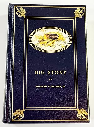 Seller image for Big Stony for sale by Resource Books, LLC
