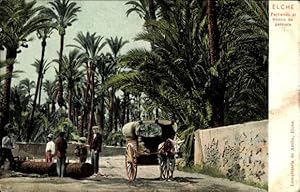 Ansichtskarte / Postkarte Elche Valencia Spanien, Partiendo el tronco de palmera, Fällen einer Pa...