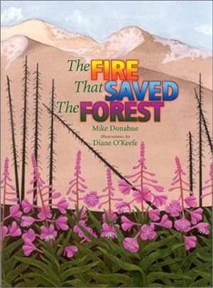 Bild des Verkufers fr The Fire That Saved the Forest zum Verkauf von WeBuyBooks
