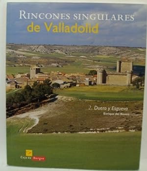 Seller image for RINCONES SINGULARES DE VALLADOLID. TOMO 2 DUERO Y ESGUEVA for sale by LIBRERIA AZACAN