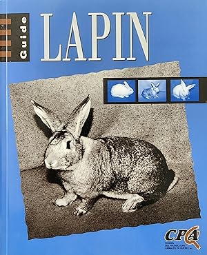 Guide lapin