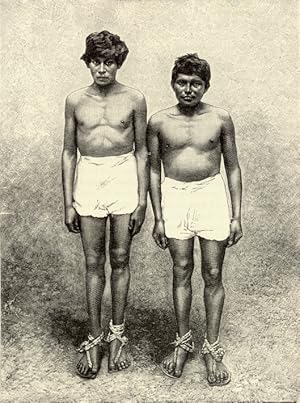 Portrait of Mayan Youths,inhabitants of Mexico,Antique Historical Print