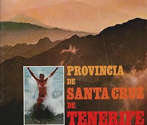 Seller image for Provincia de Santa Cruz de Tenerife (Reisebroschre) for sale by Schrmann und Kiewning GbR