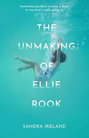 Bild des Verkufers fr The Unmaking of Ellie Rook zum Verkauf von WeBuyBooks