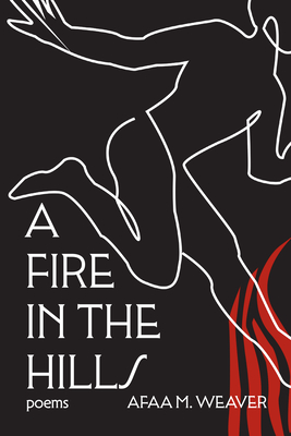 Seller image for A Fire in the Hills (Hardback or Cased Book) for sale by BargainBookStores
