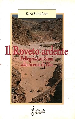 Seller image for Il Roveto ardente Pellegrini sul Sinai alla ricerca di Dio for sale by Di Mano in Mano Soc. Coop