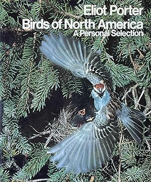 Seller image for Birds of North America: A Personal Selection for sale by 32.1  Rare Books + Ephemera, IOBA, ESA