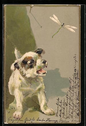 Bild des Verkufers fr Lithographie Kleiner Hund verbellt eine Libelle zum Verkauf von Bartko-Reher