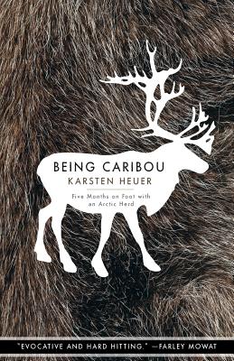 Bild des Verkufers fr Being Caribou: Five Months on Foot with an Arctic Herd (Paperback or Softback) zum Verkauf von BargainBookStores