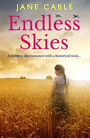 Bild des Verkufers fr Endless Skies: A modern day romance with a historical twist. zum Verkauf von WeBuyBooks