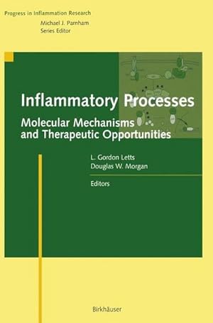 Immagine del venditore per Inflammatory Processes: : Molecular Mechanisms and Therapeutic Opportunities venduto da AHA-BUCH GmbH