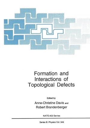 Bild des Verkufers fr Formation and Interactions of Topological Defects zum Verkauf von AHA-BUCH GmbH