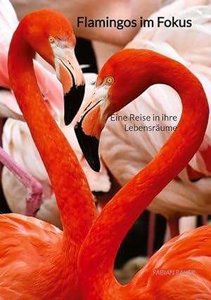 Bild des Verkufers fr Flamingos im Fokus zum Verkauf von BuchWeltWeit Ludwig Meier e.K.