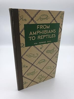 Seller image for From Amphibians to Reptiles Shy Swamp-Dwellers in Study, Picture and Legend for sale by Antiquariat Bcherwurm