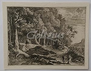 Forest landscape with travellers