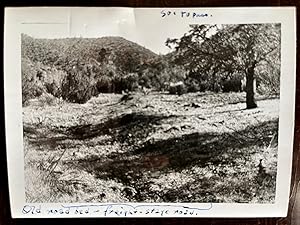 [Early Female Fire Lookout] Archive of Letters and Photographs of Two Female California Historians