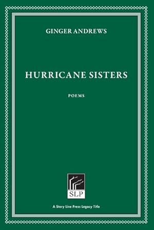 Bild des Verkufers fr Hurricane Sisters zum Verkauf von AHA-BUCH GmbH