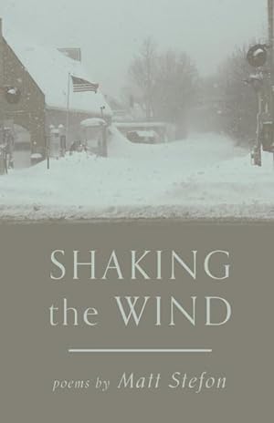 Seller image for Shaking the Wind for sale by AHA-BUCH GmbH
