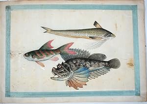 A twelve-leaf album of Chinese export paintings of exquisite Fish paintings