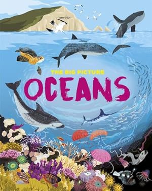 Bild des Verkufers fr The Big Picture: Oceans zum Verkauf von Smartbuy