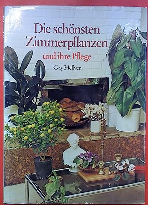 Seller image for Die schnsten Zimmerpflanzen und ihre Pflege for sale by biblion2