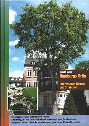 Hamburgs Grün. Interessante Bäume und Sträucher. (Rundgänge zu verbreiteten und besonderen Exempl...