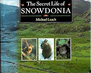 The Secret Life of Snowdonia