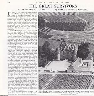 Seller image for Wines of the Hauts Pays, South-East France. Several pictures and accompanying text, removed from an original issue of Country Life Magazine, 1985. for sale by Cosmo Books