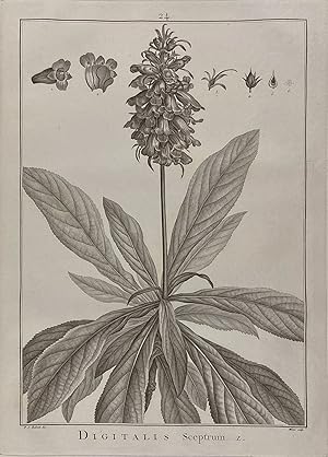 Image du vendeur pour Sertum anglicum, seu plantae rariores quae in hortis juxta Londinum mis en vente par Donald A. Heald Rare Books (ABAA)