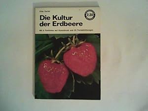 Bild des Verkufers fr Die Kultur der Erdbeere Lehrmeister-Bcherei ; Nr. 240 zum Verkauf von ANTIQUARIAT FRDEBUCH Inh.Michael Simon