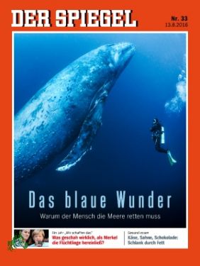 Immagine del venditore per 33/2016, Das blaue Wunder venduto da Antiquariat Artemis Lorenz & Lorenz GbR