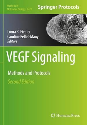 Imagen del vendedor de VEGF Signaling : Methods and Protocols a la venta por AHA-BUCH GmbH