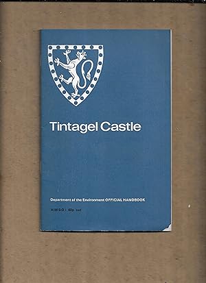 Bild des Verkufers fr Tintagel Castle, Cornwall zum Verkauf von Gwyn Tudur Davies