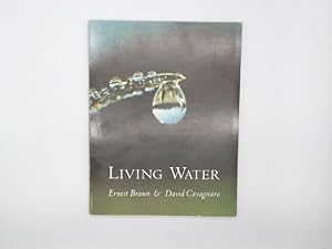 Living Water