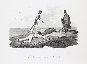 Soldats à Linhares / La tortue au rivage de la mer - Voyage au Brésil, Dans les années 1815, 1816...