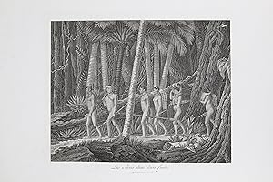 Les Puris dans leurs forêts - Voyage au Brésil, Dans les années 1815, 1816 et 1817, par S. A. S. ...