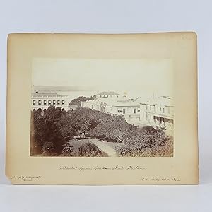 Two Original Late 19th Century Albumin Prints of Natal - West Street Durban and Corner Store in F...