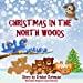 Seller image for Christmas In The North Woods [Soft Cover ] for sale by booksXpress