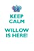 Seller image for Keep Calm, Willow Is Here Affirmations Workbook Positive Affirmations Workbook Includes: Mentoring Questions, Guidance, Supporting You [Soft Cover ] for sale by booksXpress