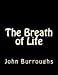 Seller image for The Breath of Life [Soft Cover ] for sale by booksXpress