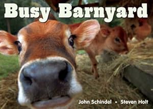 Image du vendeur pour Busy Barnyard (A Busy Book) by John Schindel [Board book ] mis en vente par booksXpress